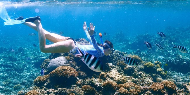 snorkeling (3).jpg