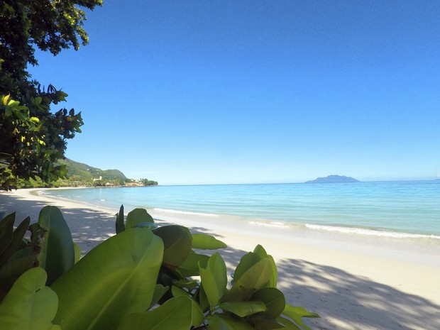 Beach View Villa